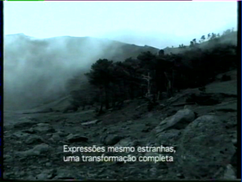 João Penalva, "Kitsune", 2001. Vidéo couleur, son. 57 min. Collection Mudam Luxembourg. Acquisition 2001 © João Penalva