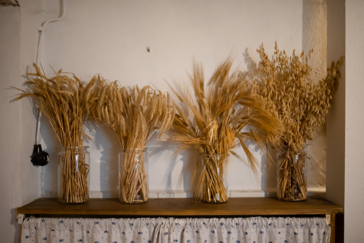 4 sorts of wheat