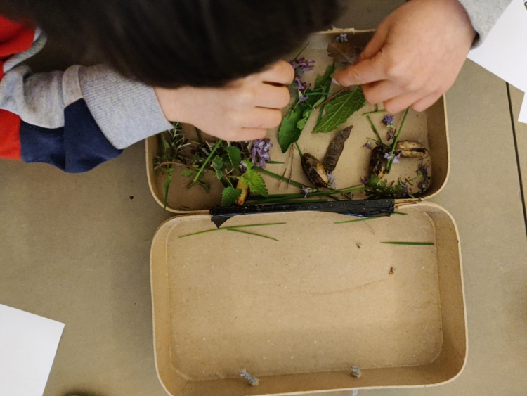 A child collecting plants in a small case.